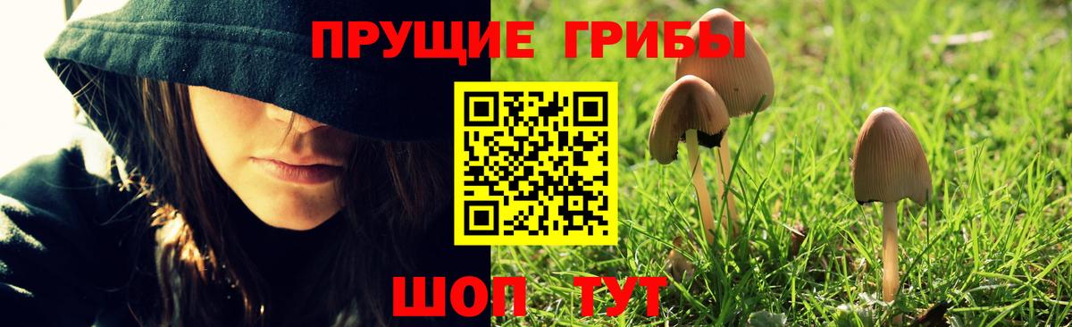 Галлюциногенные грибы MAGIC MUSHROOMS Владимир