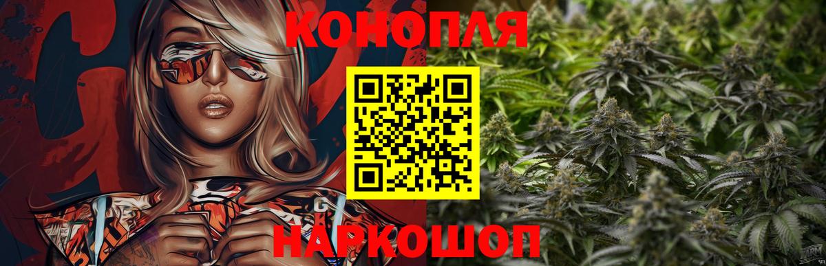 Бошки Шишки MAZAR Владимир